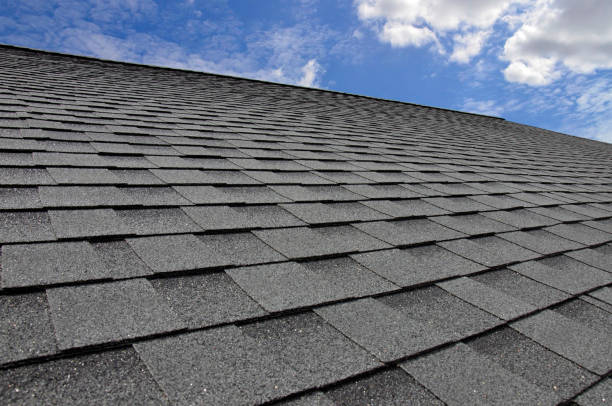 Best Gutter Installation and Repair  in Butler, GA